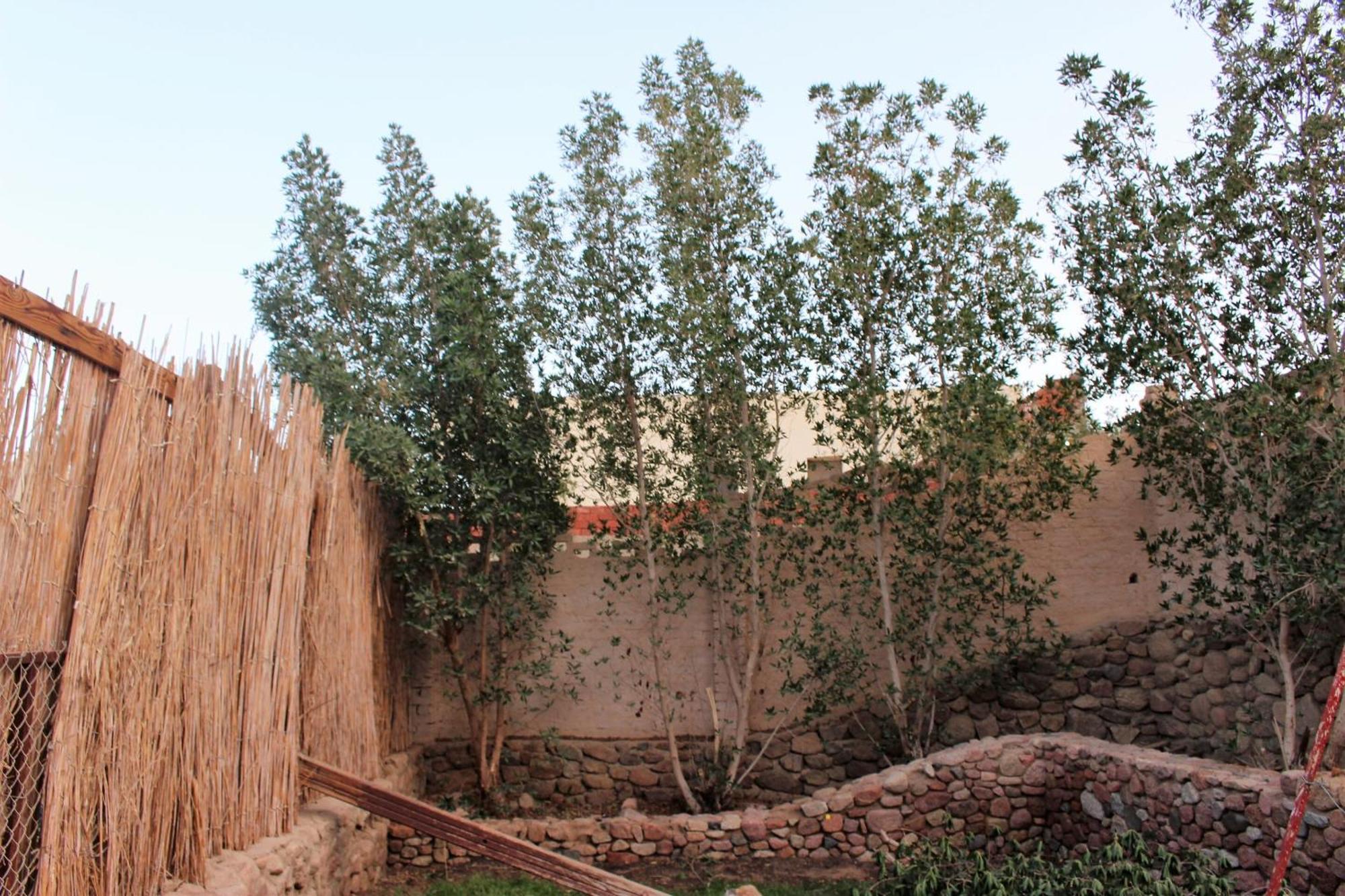 Sinai Old Spices B&B ชาร์มเอลชีค ห้อง รูปภาพ