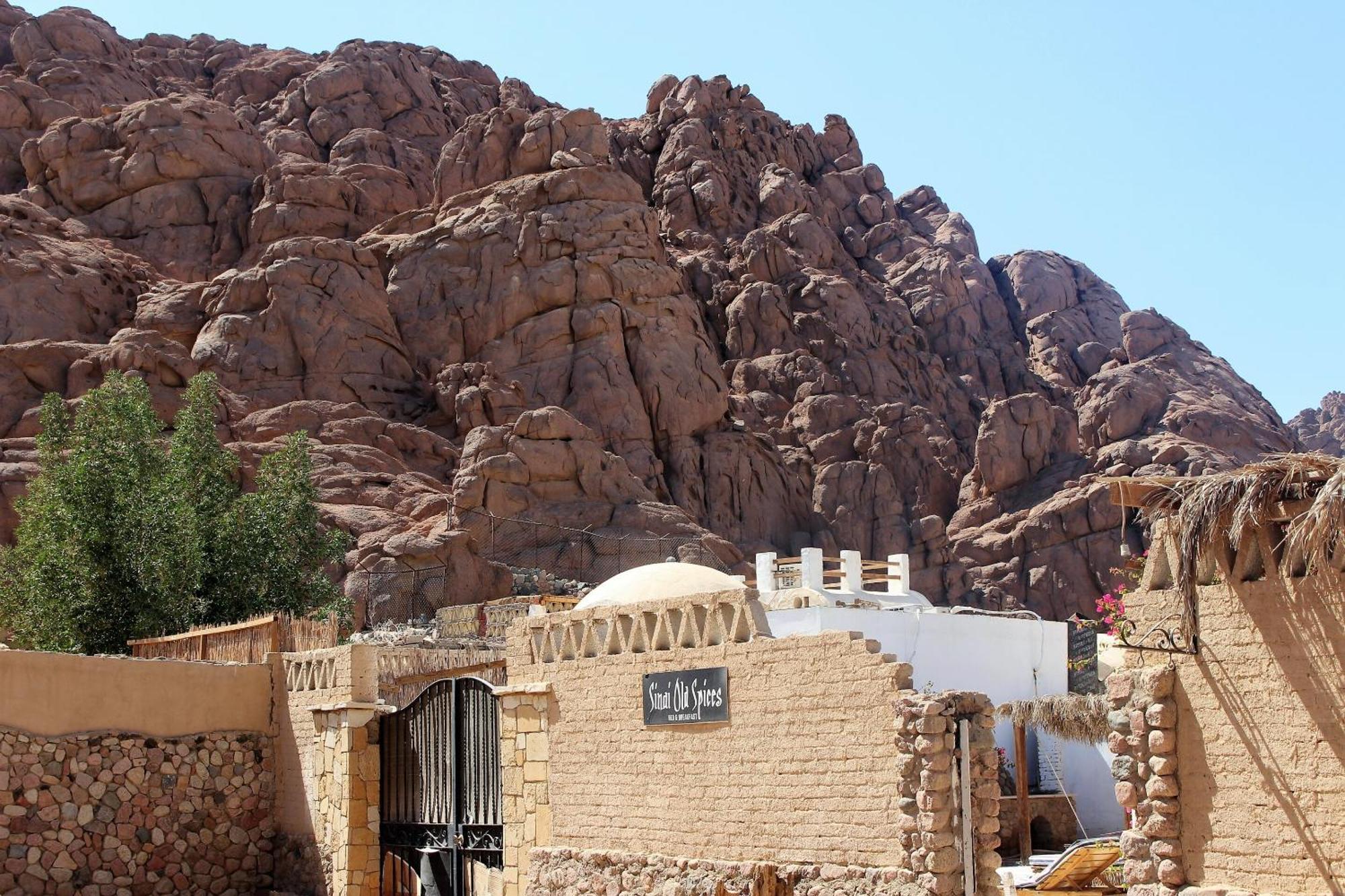 Sinai Old Spices B&B ชาร์มเอลชีค ห้อง รูปภาพ